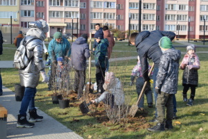 Группа компаний «ИТБ» помогает в озеленении города Иваново